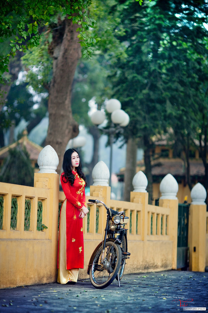 美女黄18